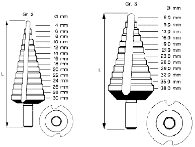 porraspora metallipora